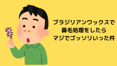 ブラジリアンワックスで鼻毛処理したら感動した 感想 気になるポイント解説 たろぶろ