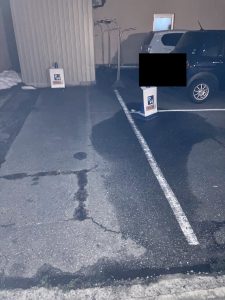 タコとイカ 駐車スペース2